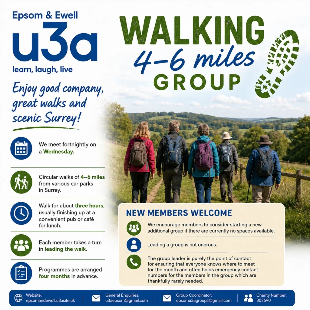Epsom & Ewell u3a Walking 4–6 Miles group poster promoting regular Surrey countryside walks for active members, with scenic routes, social lunches and opportunities for new members to join.